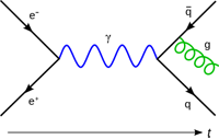 gluon